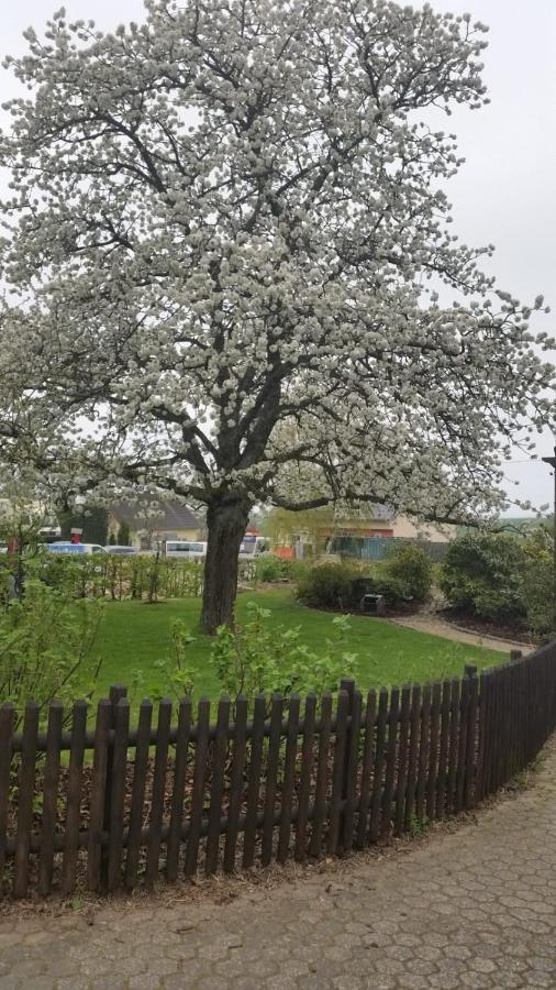Ferienwohnung Vergissmeinnicht Osburg Buitenkant foto